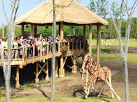 columbus zoo heart of africa